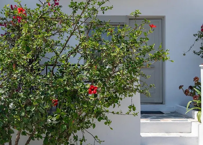 Apartment Thines - B